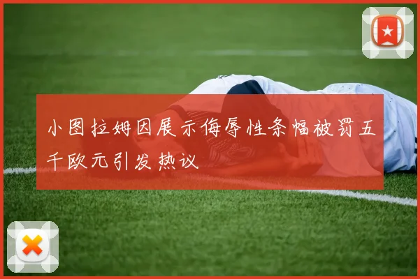 小图拉姆因展示侮辱性条幅被罚五千欧元引发热议