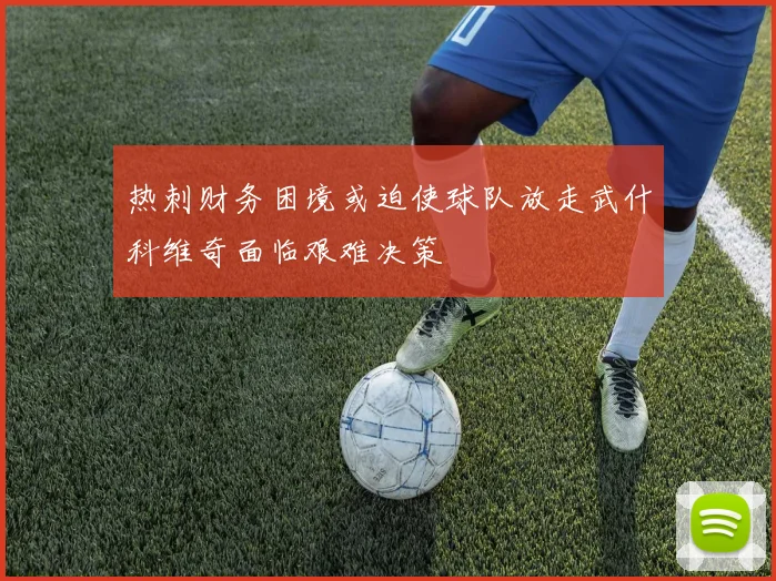 热刺财务困境或迫使球队放走武什科维奇面临艰难决策